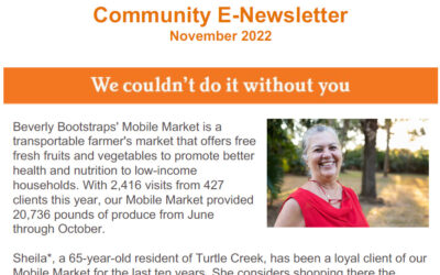 Community E-Newsletter – November 2022