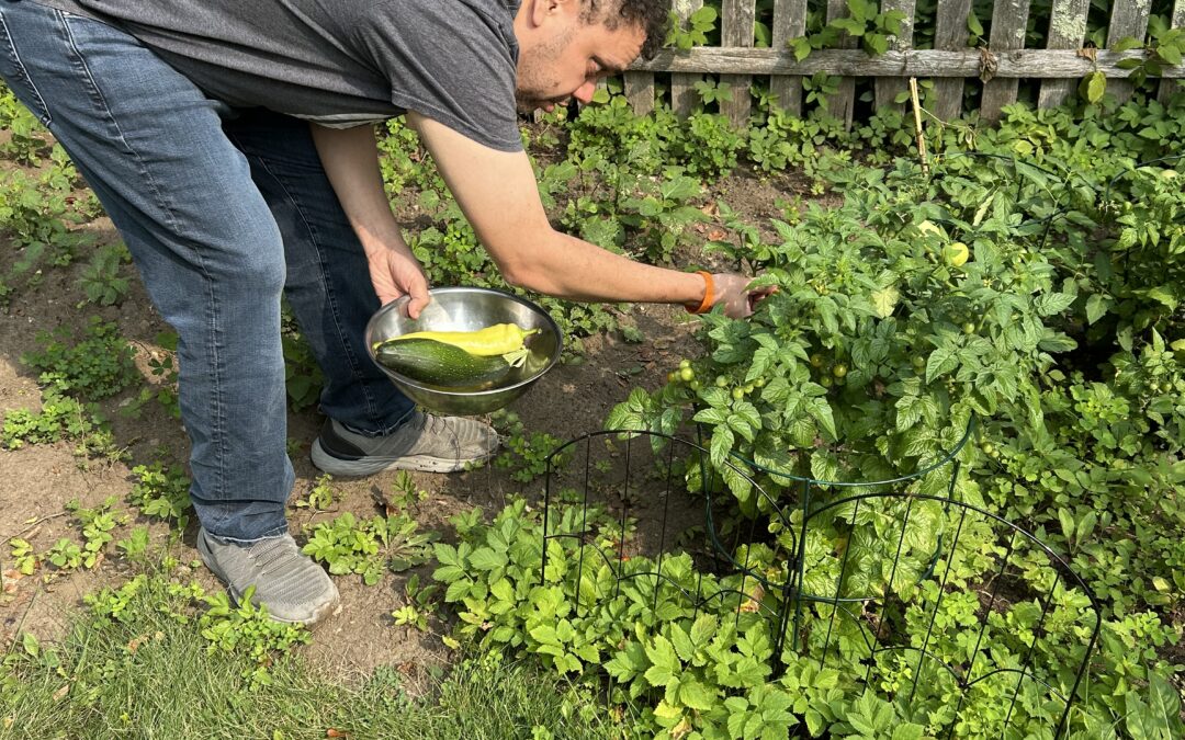 Amaury’s Summer Harvest with Vinfen